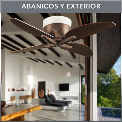 ABANICOS Y EXTERIOR