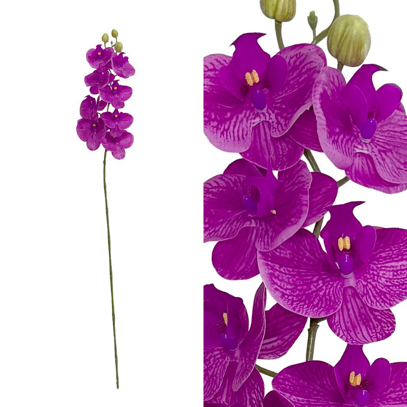 ORQUIDEA 8 FLORES H96CM ORQUIDEA 8 FLORES H96CM