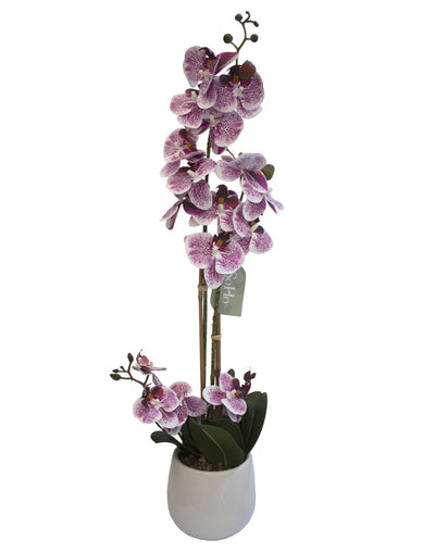 ARREGLO FLORAL ORQUIDEAS 4 TALLOS 17 FLORES ARREGLO FLORAL ORQUIDEAS 4 TALLOS 17 FLORES