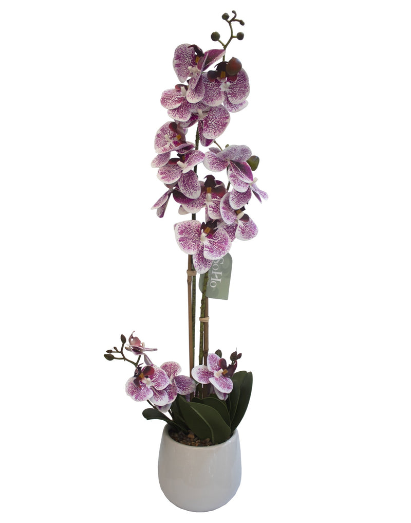 ARREGLO FLORAL ORQUIDEAS 4 TALLOS 17 FLORES ARREGLO FLORAL ORQUIDEAS 4 TALLOS 17 FLORES