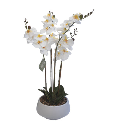 ARREGLO FLORAL ORQUIDEAS 4 TALLOS 25 FLORES ARREGLO FLORAL ORQUIDEAS 4 TALLOS 25 FLORES