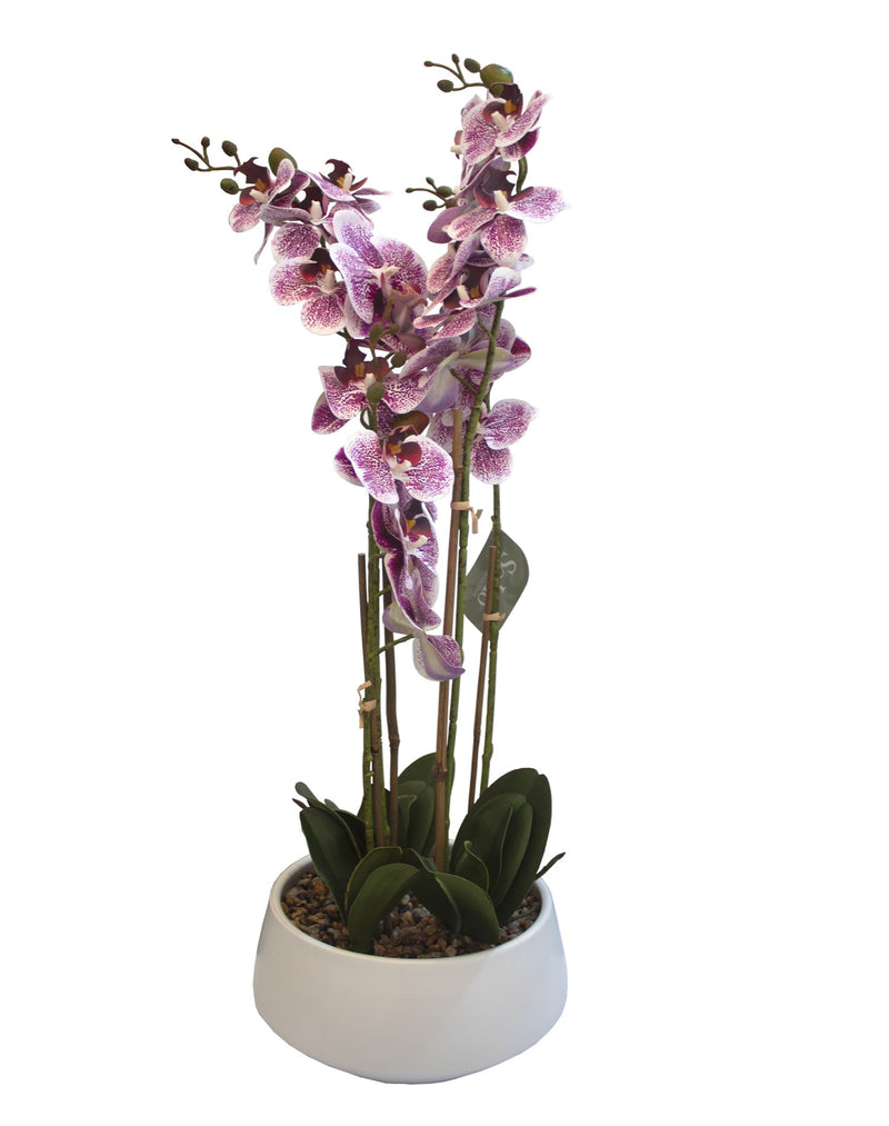 ARREGLO FLORAL ORQUIDEAS 4 TALLOS 25 FLORES ARREGLO FLORAL ORQUIDEAS 4 TALLOS 25 FLORES