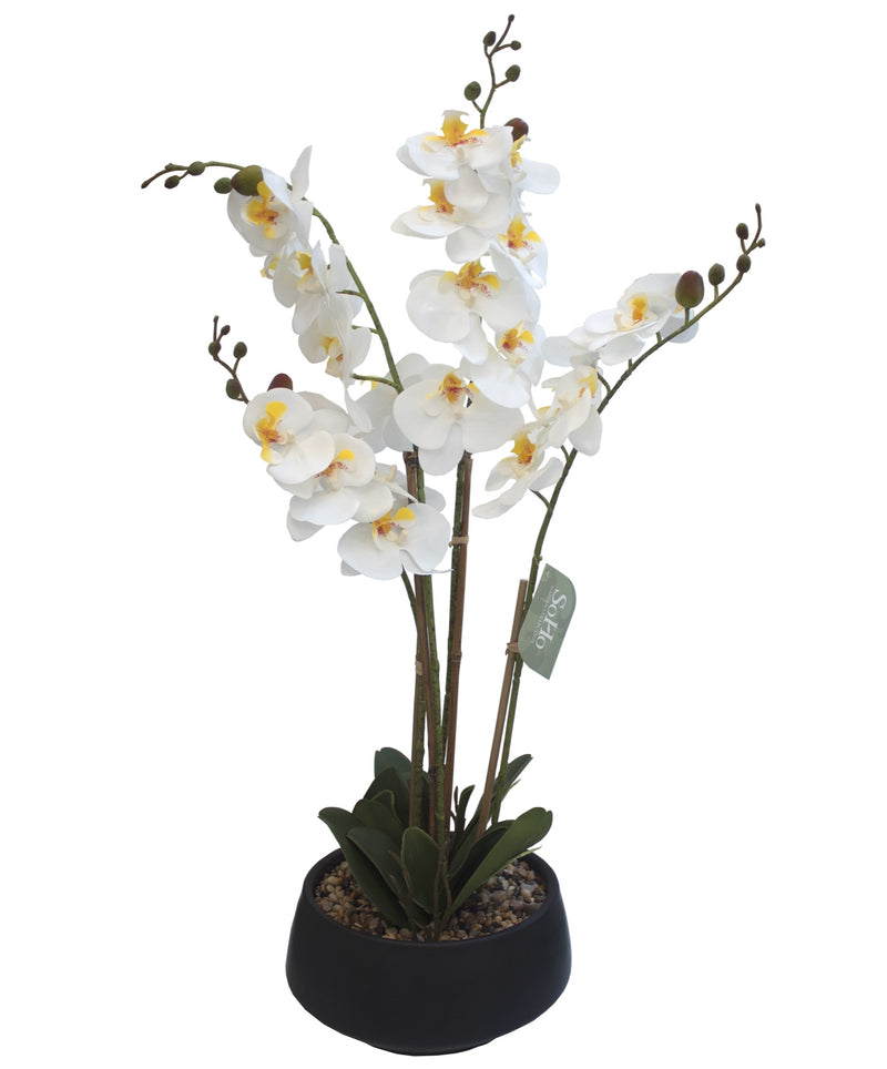 ARREGLO FLORAL ORQUIDEAS 4 TALLOS 25 FLORES ARREGLO FLORAL ORQUIDEAS 4 TALLOS 25 FLORES