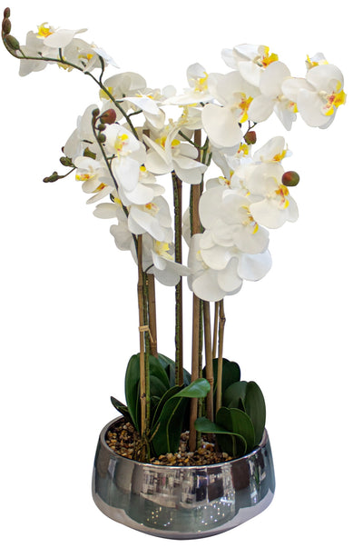 ARREGLO FLORAL ORQUIDEAS 8 TALLOS 60 FLORES ARREGLO FLORAL ORQUIDEAS 8 TALLOS 60 FLORES