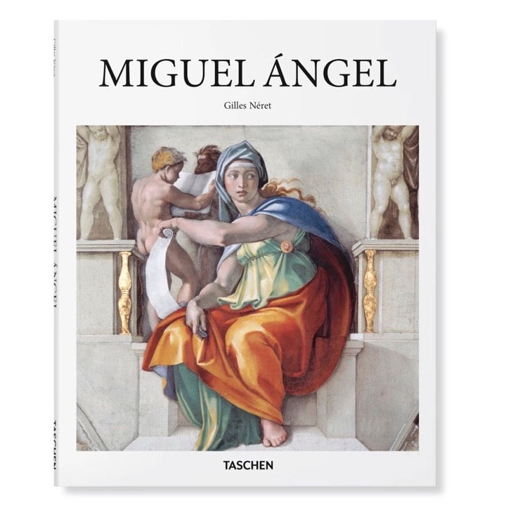 LIBRO MICHELANGELO