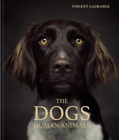 DOGS HUMAN ANIMALS DOGS HUMAN ANIMALS