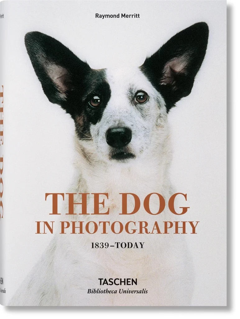 LIBRO DOG IN PHOTOGRAPHY 1839 TODAY LIBRO DOG IN PHOTOGRAPHY 1839 TODAY