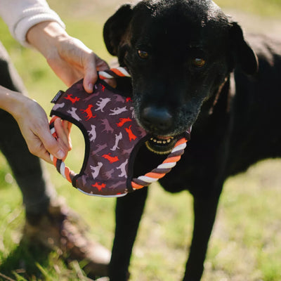 FRISBEE PARA PERRO - MARRÓN