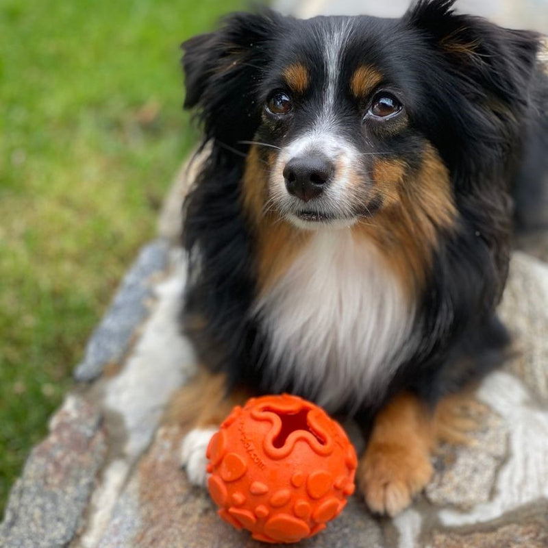 PELOTA NOVAFLEX PARA PERRO S - NARANJA