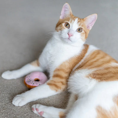 DONAS JUGUETE PARA GATO-CREMA