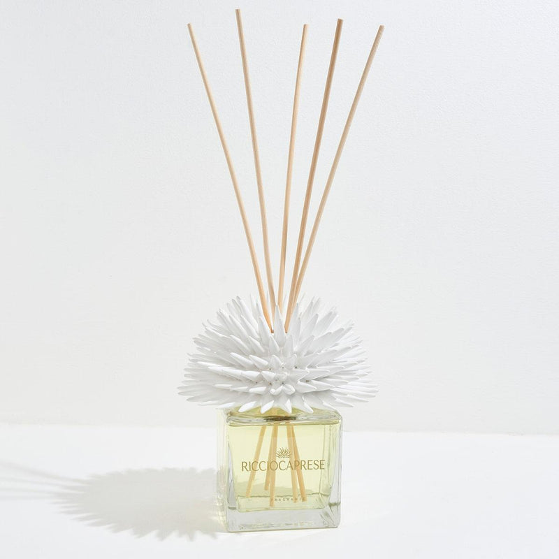 DIFUSOR RICCIOCAPRESE DE 100ML BIANCO-COCCO.LE
