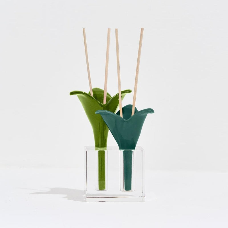 DIFUSOR 2 FIORI DI CAPRI MIX OLIVA/VERDE -MENTA BASILICO