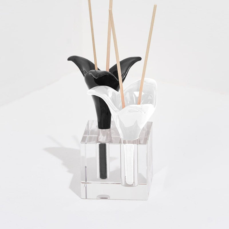 DIFUSOR 2 FIORI DI CAPRI MIX NERO/BIANCO-COCO.LE