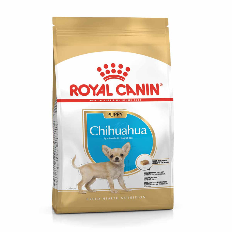 BHN CHIHUAHUA PUPPY 1.5KG