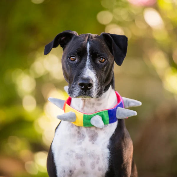 SPIKED COLLAR PARA PERRO L - MULTICOLOR