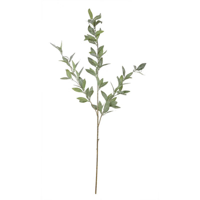 LAUREL PULVERIZADO X3 40" cm ALTO VERDE GRISÁCEO