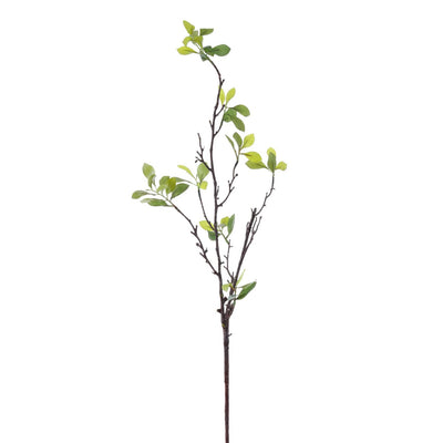HOJA SPRING SMILAX 37" VERDE