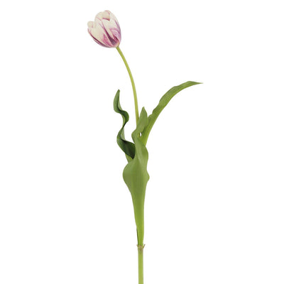 TULIPAN 22.5 TULIPAN 22.5