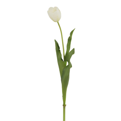 TULIPAN 22,5 TULIPAN 22,5