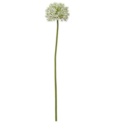 ALLIUM MONTE EVEREST BLANCO 28" ALLIUM MONTE EVEREST BLANCO 28"