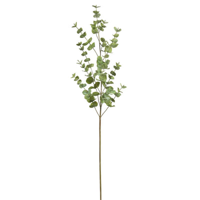 EUCALIPTO L 40" VERDE
