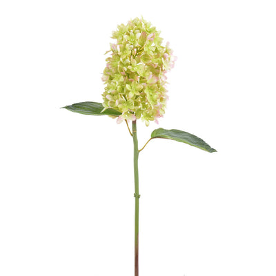 HORTENSIA 21" (VERDE LAVANDA) HORTENSIA 21" (VERDE LAVANDA)