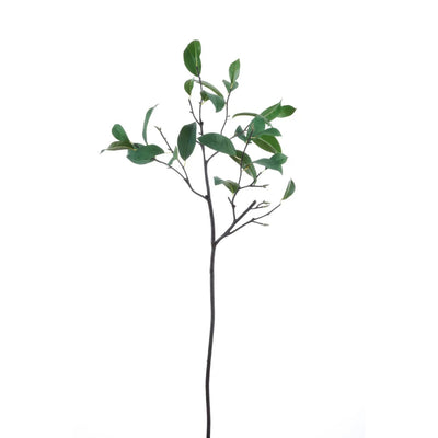 HOJA DE LAUREL 37" VERDE