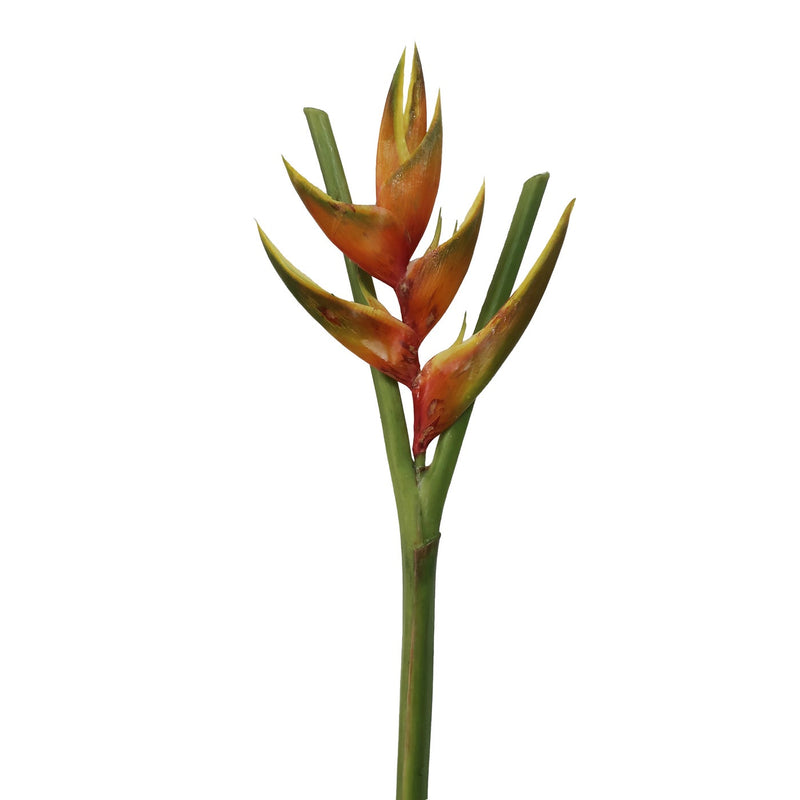 LINTERNA HELICONIA 36 LINTERNA HELICONIA 36