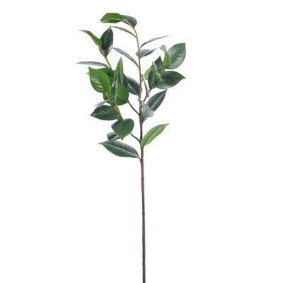 FOLLAJE DE CAMELIA 39" VERDE