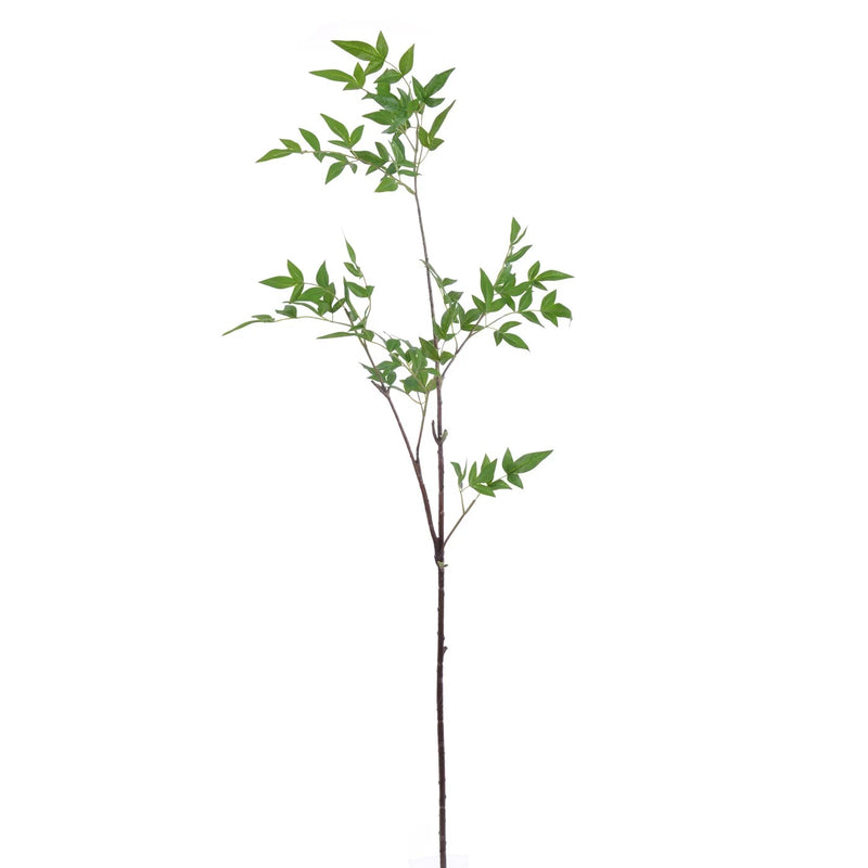 HOJAS TIERNAS 48" VERDE