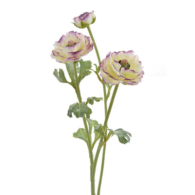 RANUNCULUS LIGHT MAUVE 22" RANUNCULUS LIGHT MAUVE 22"