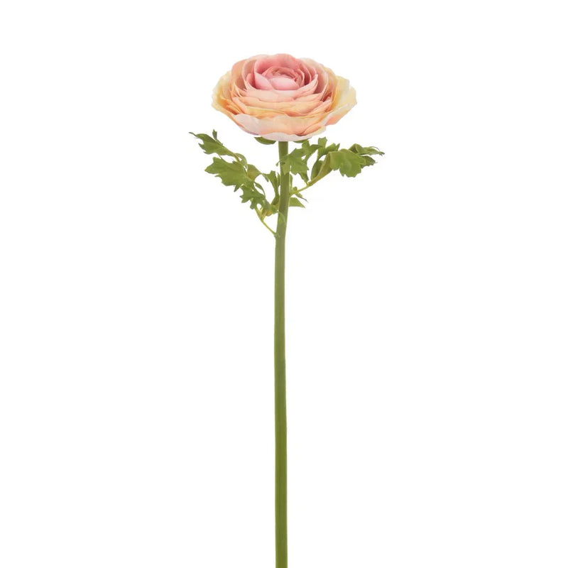 RANUNCULUS BEIGE 22"