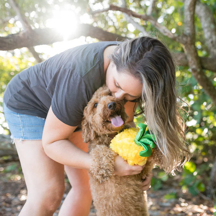 PIÑA JUGUETE DE PERRO-AMARILLO