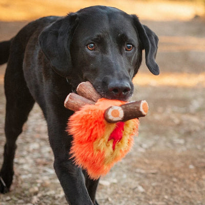 FOGATA JUGUETE DE PERRO-NARANJA