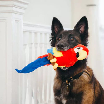 LORO JUGUETE DE PERRO - MULTICOLOR