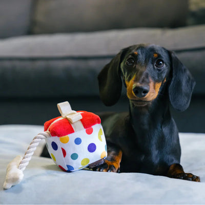 CAJA DE REGALO JUGUETE PARA PERRO - MULTICOLOR