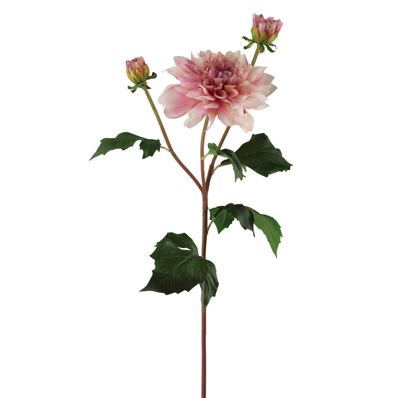 DALIA 22.5" (PINCEL ROSA)