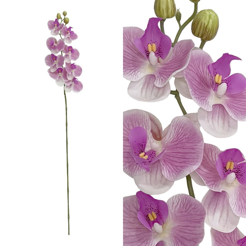 ORQUIDEA 8 FLORES H96CM