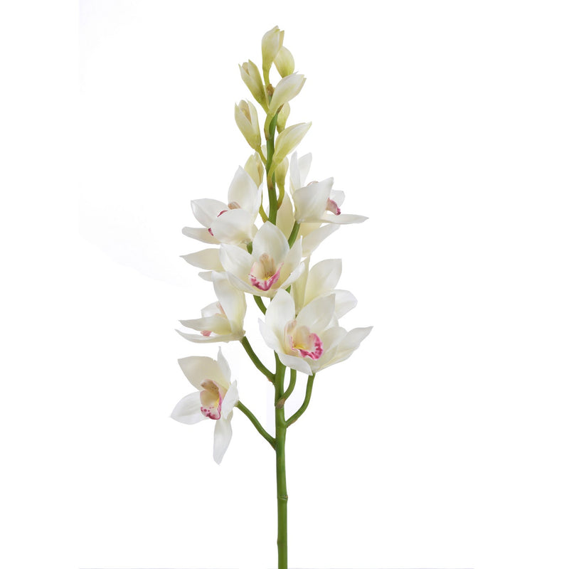 ORQUIDEA CYMBIDIO 35" (BLANCO)