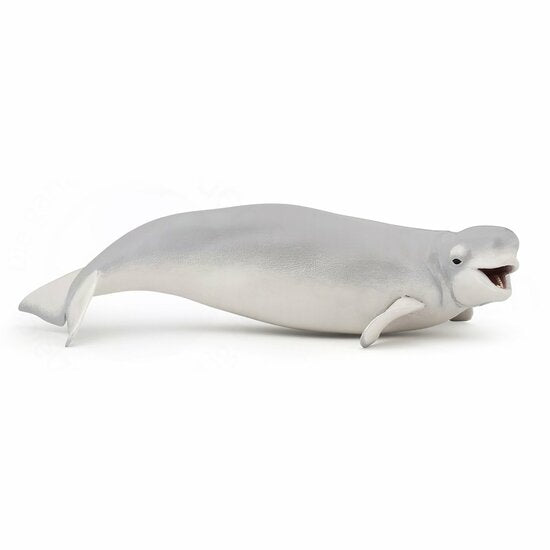 BALLENA BELUGA