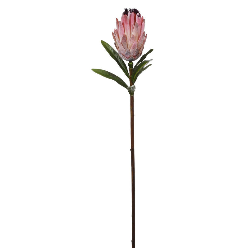 VISON PROTEA 29" (ROSA)