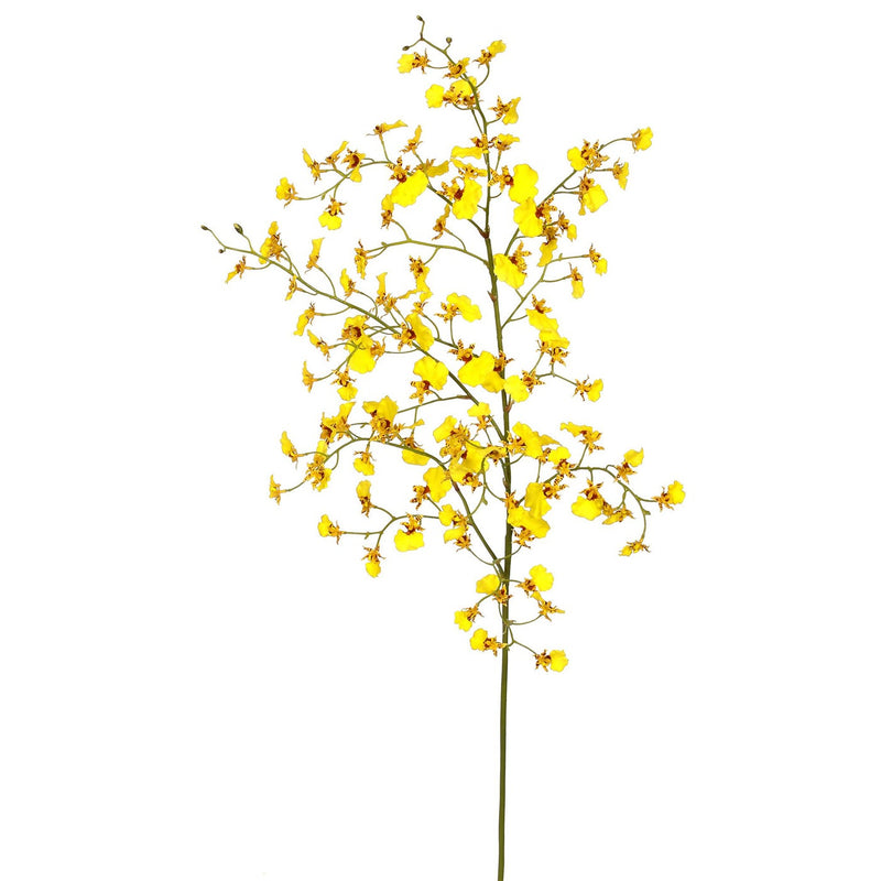 ORQUÍDEA BAILANDO ONCIDIUM L 40" (AMARILLO)