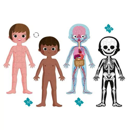 ROMPECABEZAS EDUCATIVOS - CUERPO HUMANO - 50, 75, 100 PIEZAS