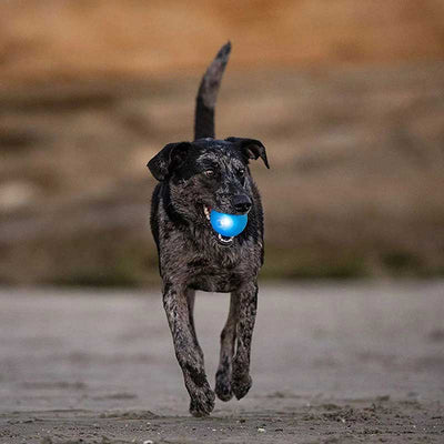 PELOTA PARA JUEGOS LATEX GRANDE - AZUL