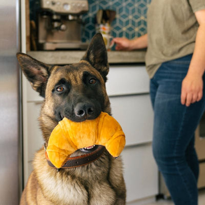 CROISSANT JUGUETE DE PERRO - CREMA