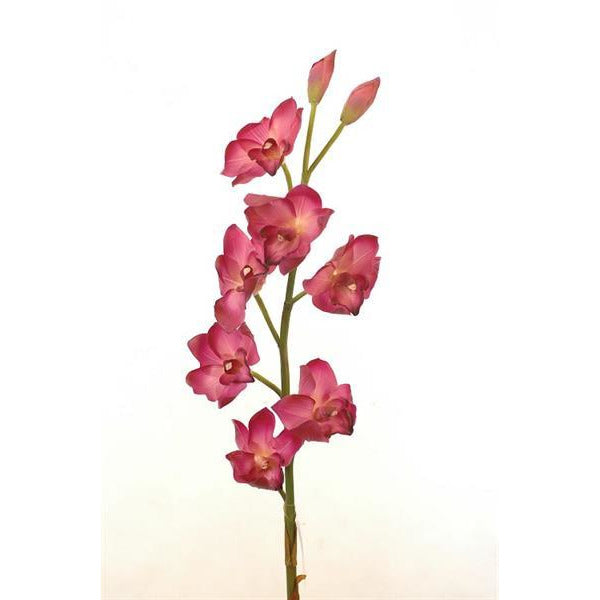 FLORES ARTIFICIALES - ORQUIDEA