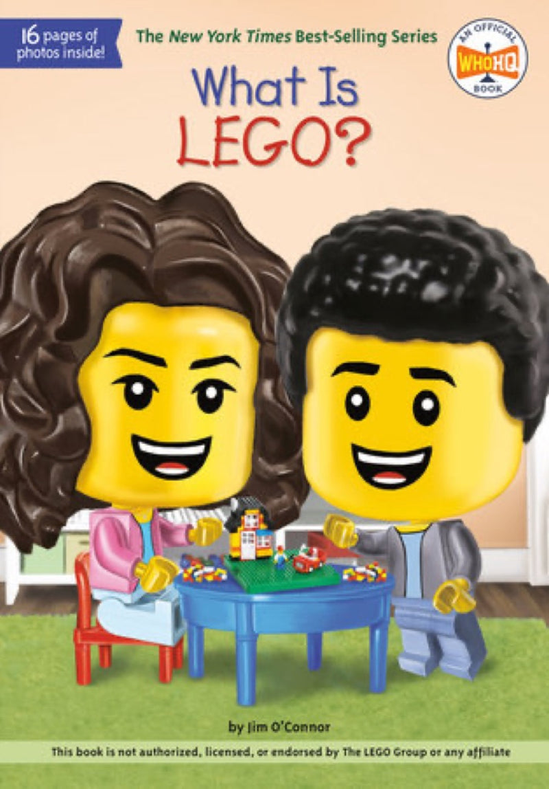 WHAT IS LEGO