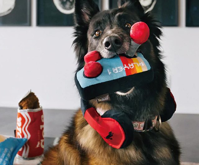 JUGUETE DE PERRO JOYSTICK -MULTICOLOR