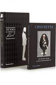 LIBRO DE DECORACION CHOUPETTE PRIVATE LIFE