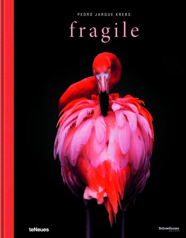 FRAGILE